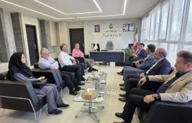 افزایش بهره‌وری مزارع میگو در دستور کار شیلات بوشهر