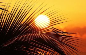 رگبار پراکنده و تندباد لحظه‌ای در بوشهر