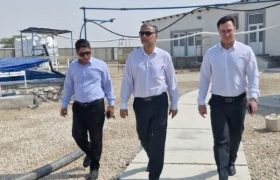 توسعه طرح‌های دانش‌بنیان آبزی‌پروری در تنگستان شتاب می‌گیرد