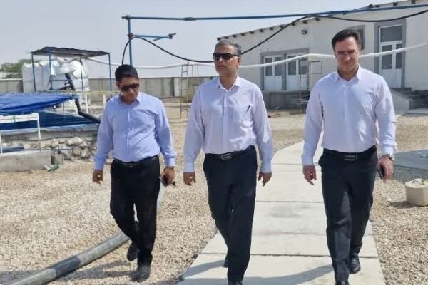 توسعه طرحهای دانشبنیان آبزیپروری در تنگستان شتاب میگیرد