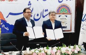 مدیرکل محیط‌زیست بوشهر: محیط‌بانان آینده از مدارس تربیت می‌شوند