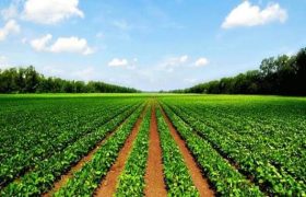 ارزیابی اثربخشی آموزش‌های ترویجی کشاورزی در بوشهر آغاز شد