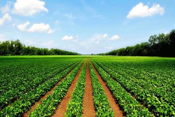 ارزیابی اثربخشی آموزشهای ترویجی کشاورزی در بوشهر آغاز شد