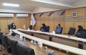 ساماندهی نماهای شهری بوشهر در مسیر تدوین ضوابط یکپارچه
