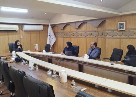 ساماندهی نماهای شهری بوشهر در مسیر تدوین ضوابط یکپارچه