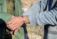 دستگیری شکارچی متخلف و کشف دو رأس کل در دشتستان