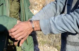 دستگیری شکارچی متخلف و کشف دو رأس کل در دشتستان