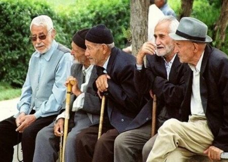 ۸.۵ درصد جمعیت شهرستان دیر سالمند هستند