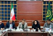 کشت پاییزه در ۱۵۰ هزار هکتار از اراضی بوشهر آغاز شد