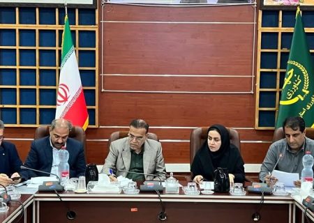 کشت پاییزه در ۱۵۰ هزار هکتار از اراضی بوشهر آغاز شد