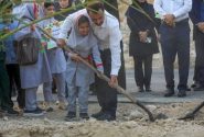 آغاز کاشت «گذر فرشتگان میناب» در پارس جنوبی
