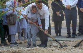 آغاز کاشت «گذر فرشتگان میناب» در پارس جنوبی