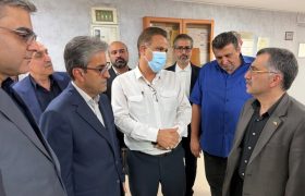 معاون وزیر بهداشت بر تقویت خدمات درمانی در خارگ تأکید کرد